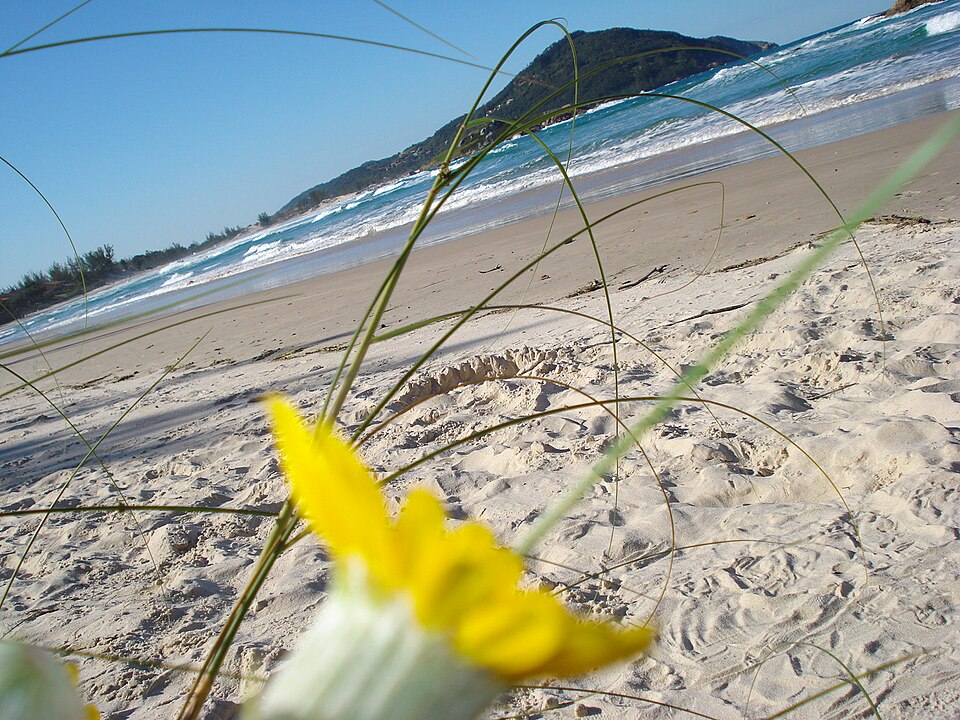 Praia Barra