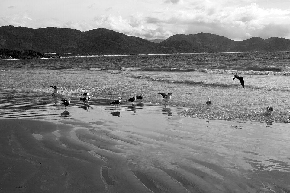Praia Vigia
